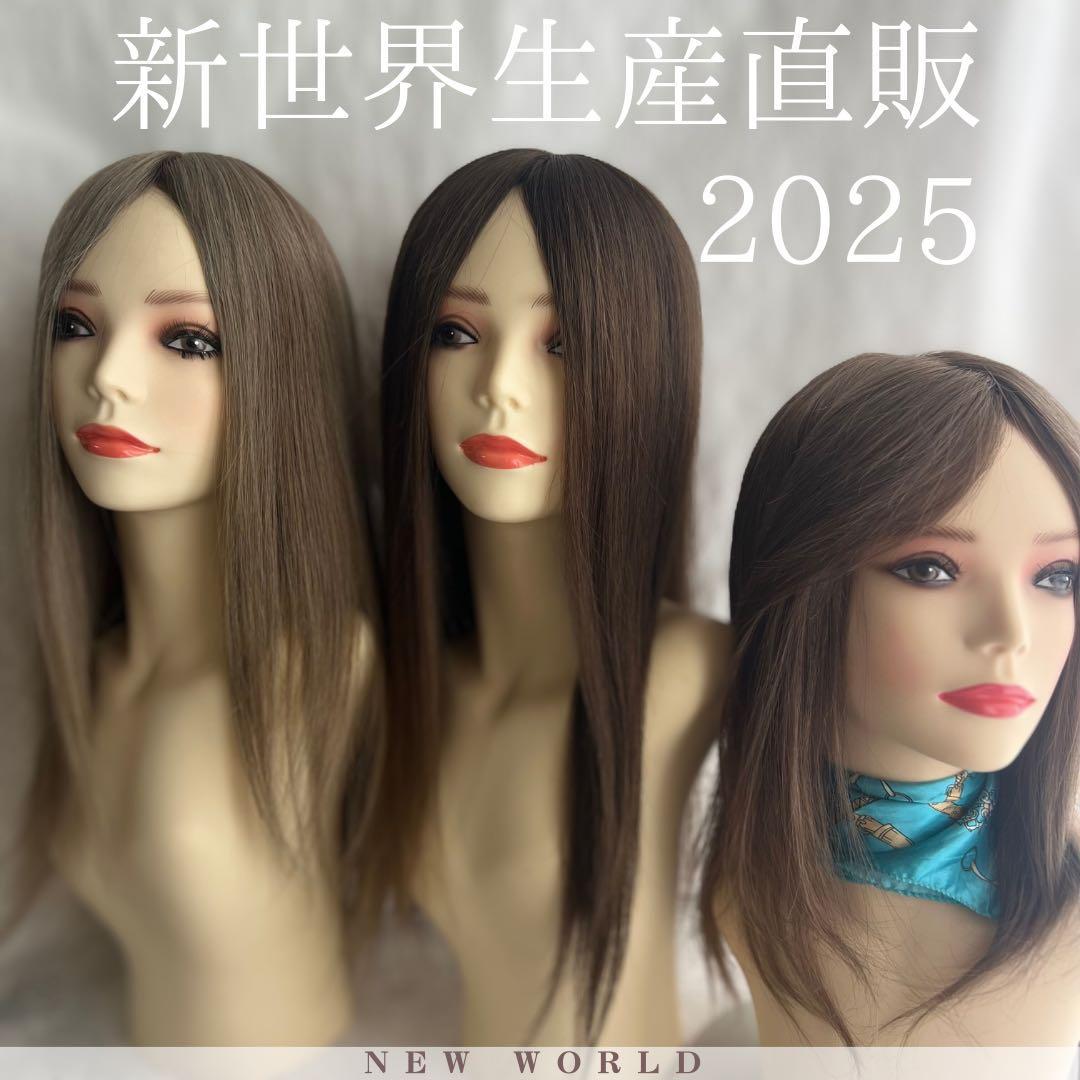 新世界　医療用フルウィッグ高級人毛100% シルクスキン 【総手植え】通気耐久性