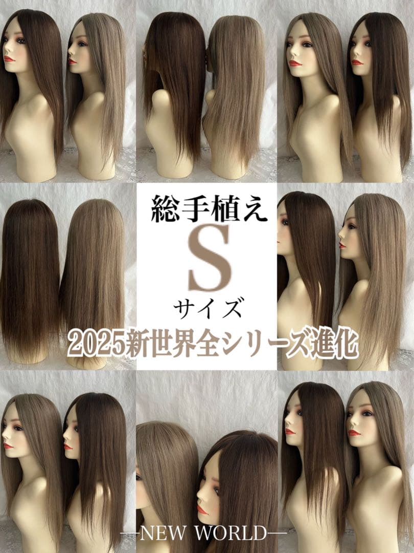 新世界　医療用フルウィッグ高級人毛100% シルクスキン 【総手植え】通気耐久性