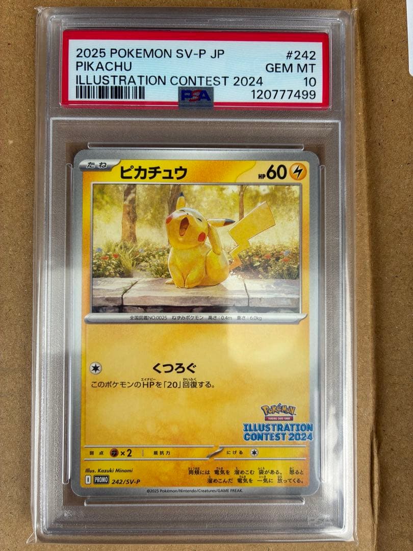 2025 ピカチュウ イラストコンテストカード #242