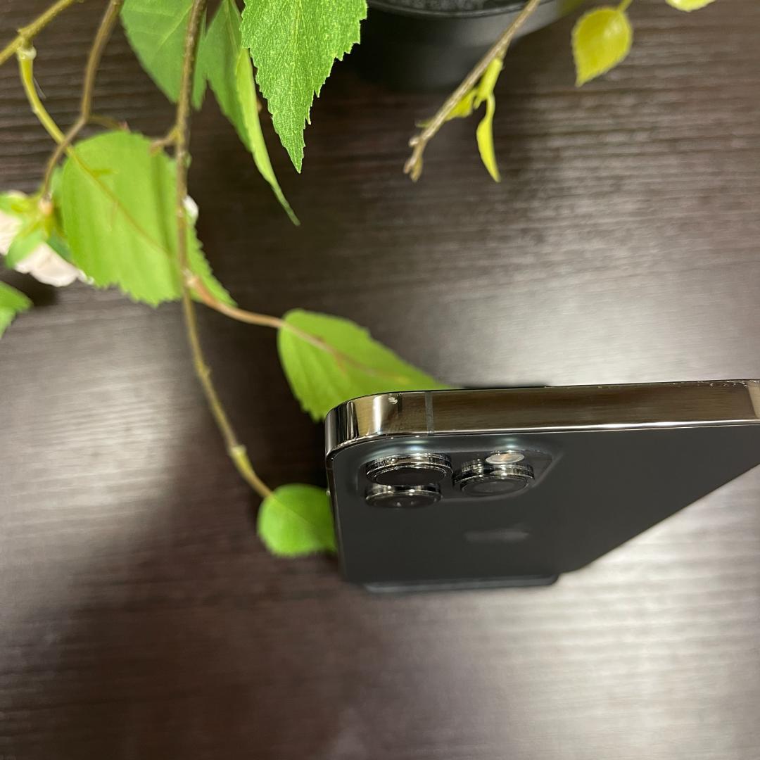 iPhone 12Promax 256GB 国内SIMフリー 送料無料