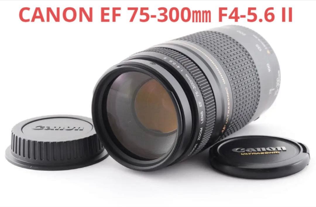 デジタル一眼レフカメラ/CANON EF 75-300㎜ F4-5.6 II