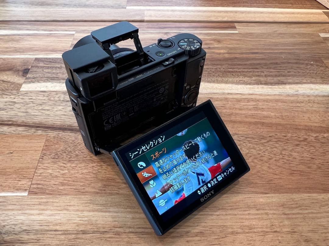 【完動品】SONY コンデジ RX100M5