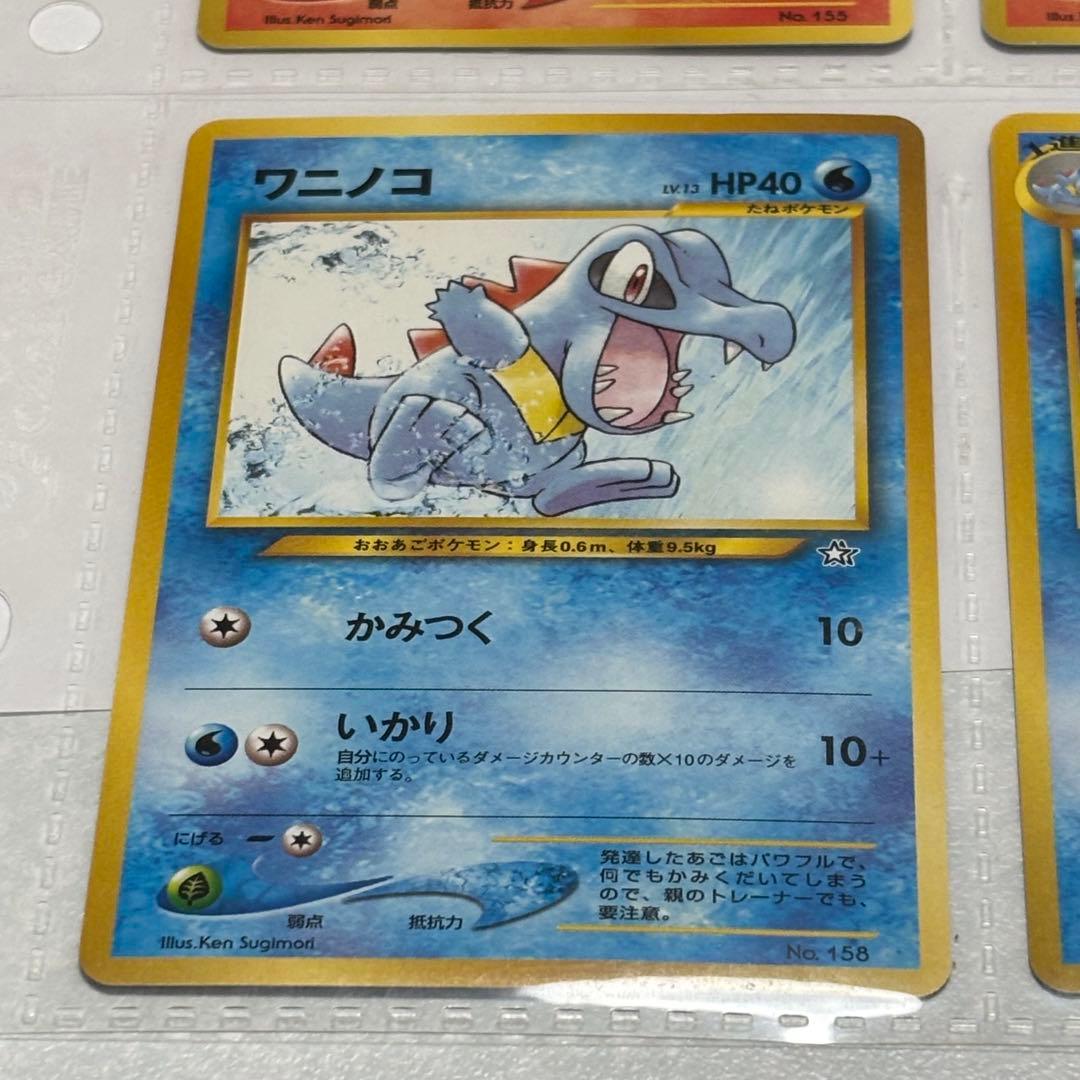 ポケモンカードneo 旧裏 プレミアムファイル 旧裏 初版 マークなし 御三家