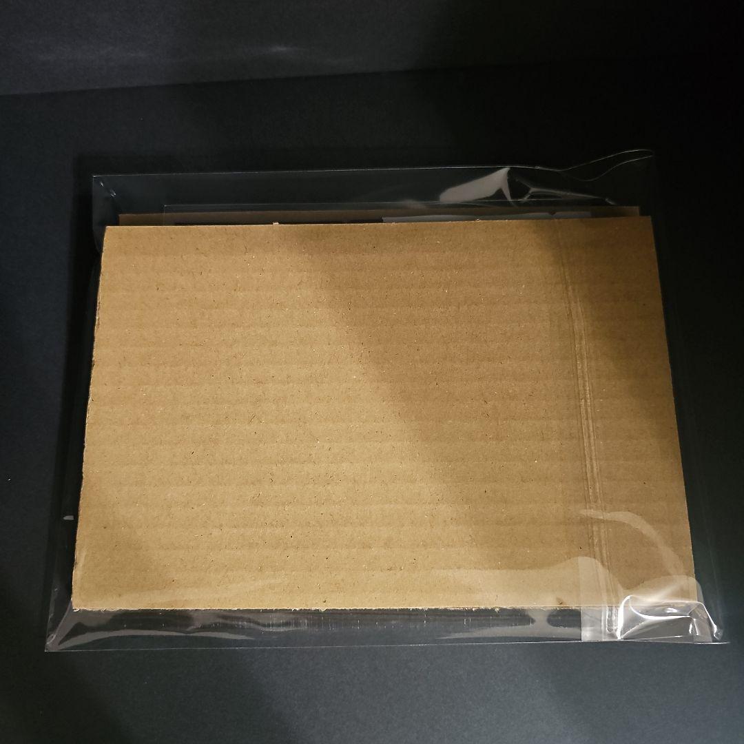 【新品】デジモンストーリータイムストレンジャー 限定版同梱カード 早期購入特典