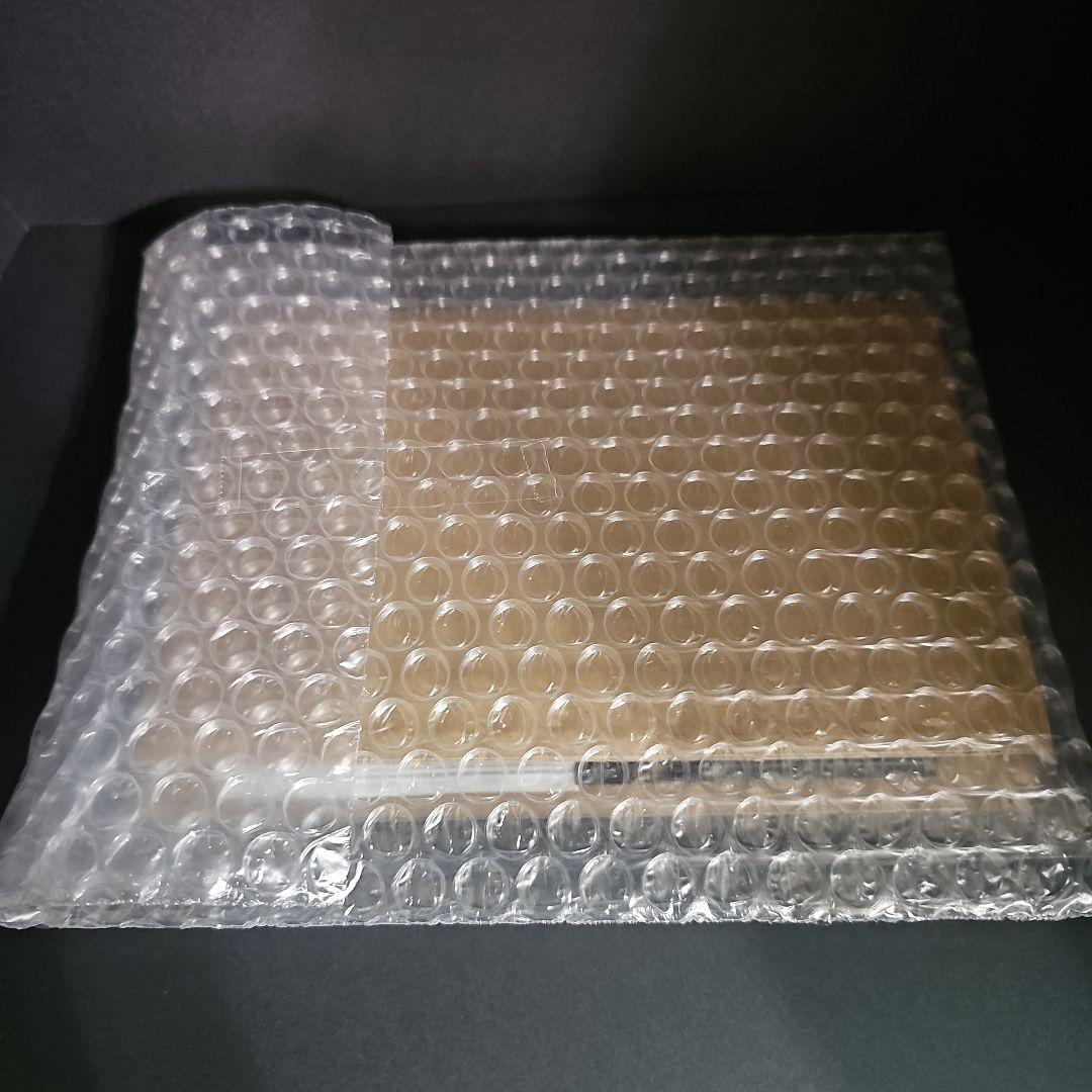 【新品】デジモンストーリータイムストレンジャー 限定版同梱カード 早期購入特典