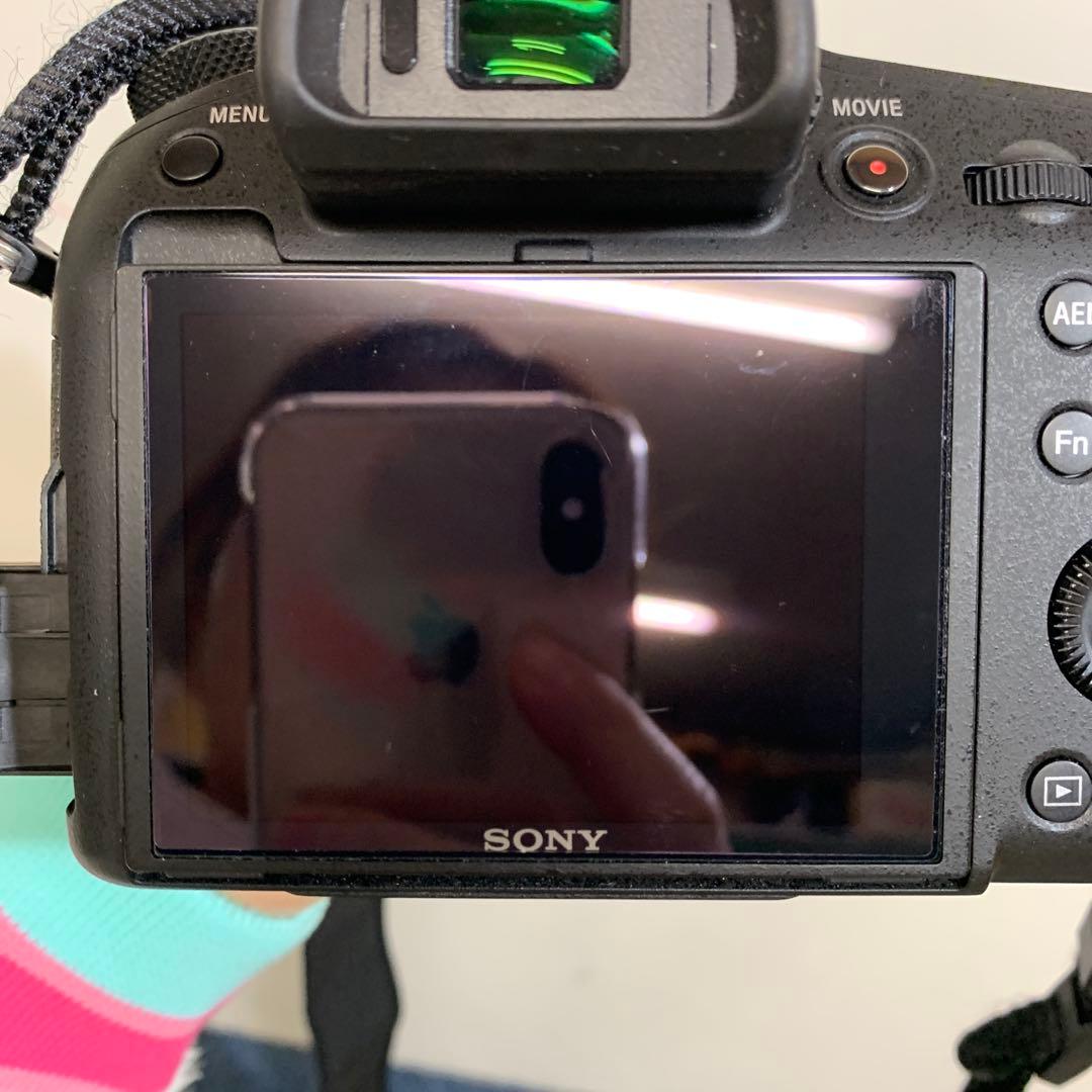 (SONY) Cyber-Shot DSC-RX10M3 バッテリー2個！！