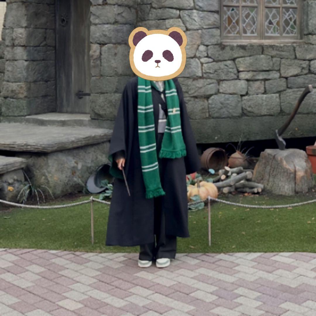 【公式】ユーエスジェイ　ユニバ　USJ ハリーポッター　スリザリン　ローブ　杖