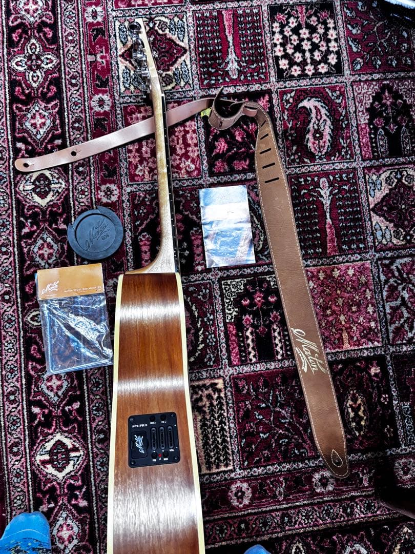 メイトン エレアコギター