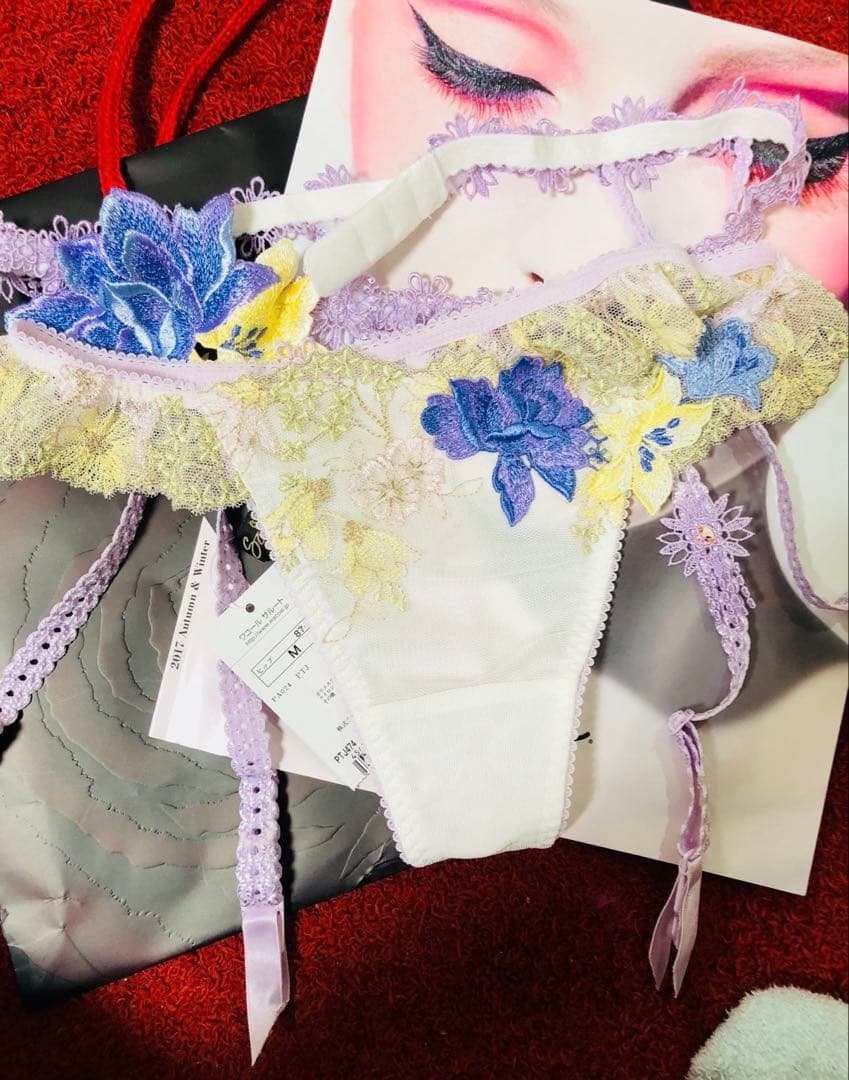 【お値下げ1/27まで】サルート 74G 秋の七草 IV 4点セット　刺繍