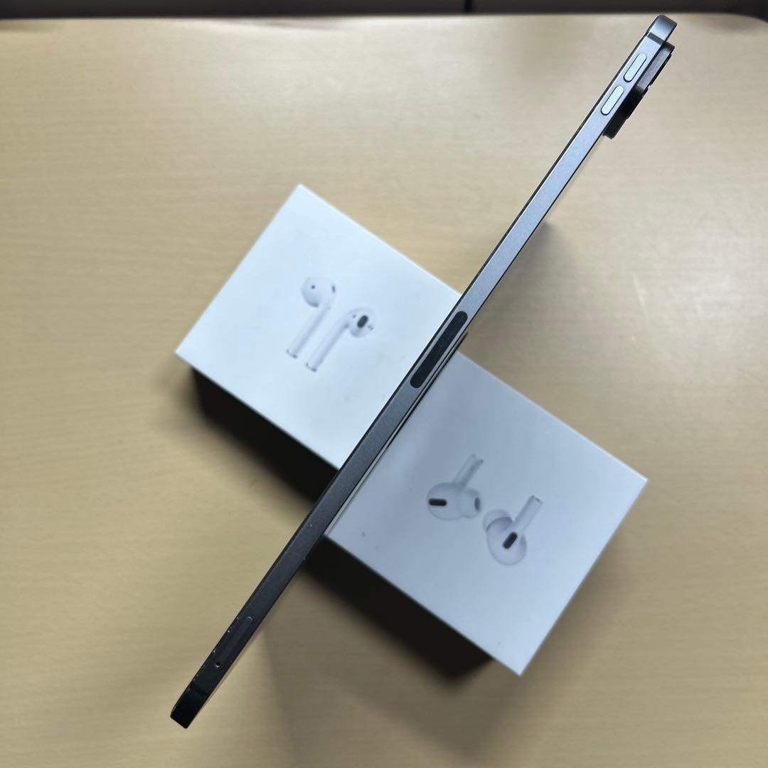 iPad Pro 11インチ　第1世代　512GB セルラーモデル　割れなし