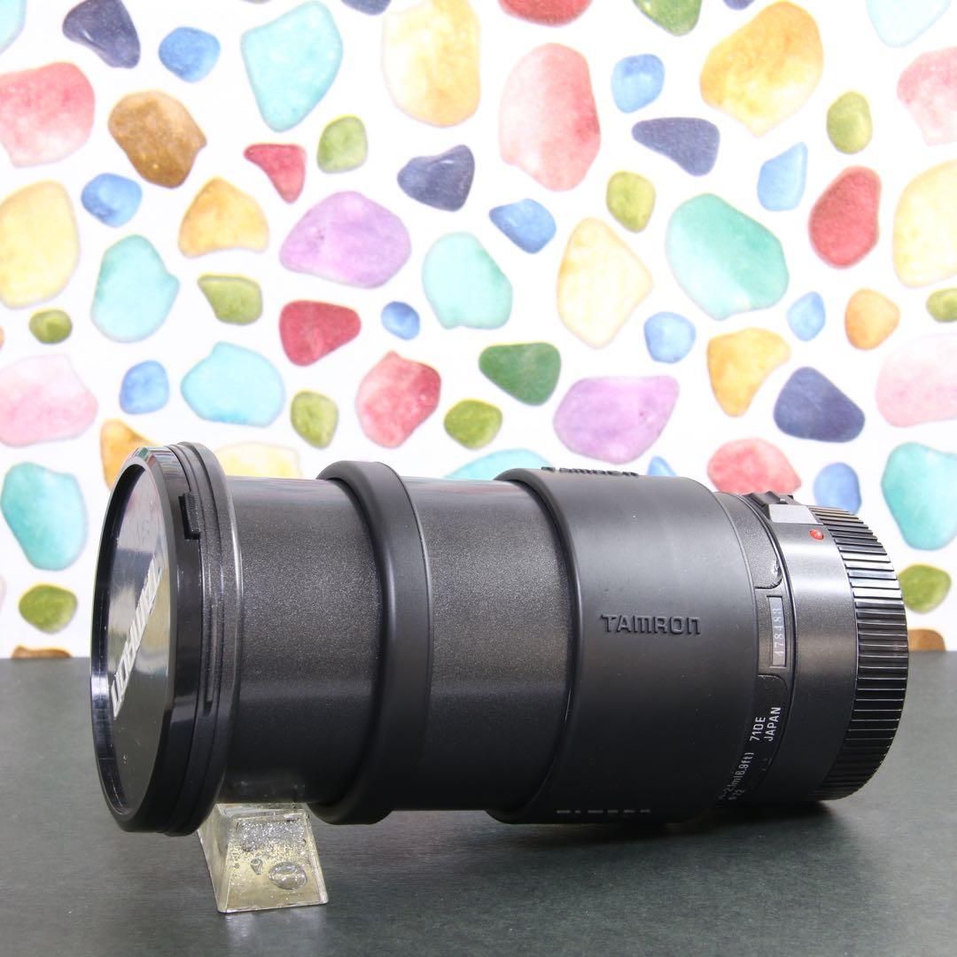 ♥︎◇広角から望遠までOK♪ ◇TAMRON 28-200mm canon ♪