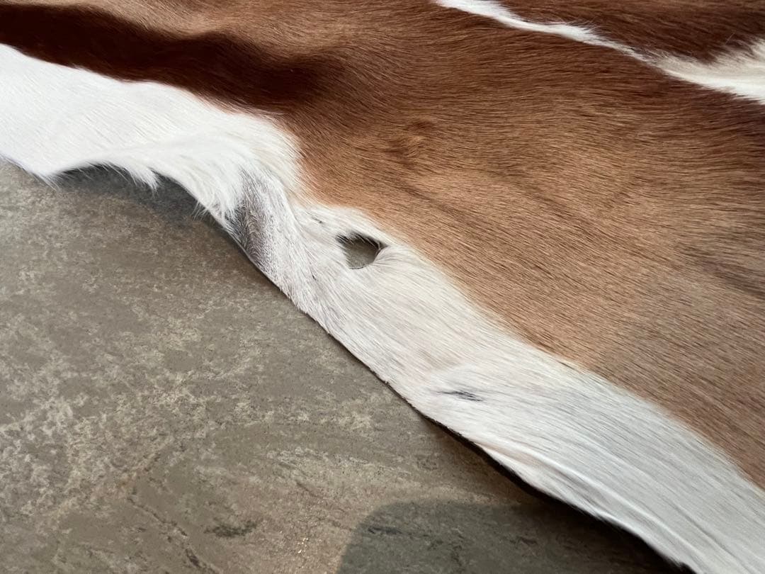 【新品】南アフリカ産　天然毛皮　ラグ　スプリングボック