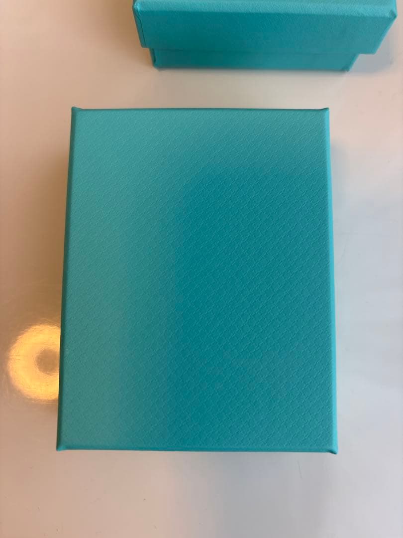 Tiffany & Co. パロマ・ピカソ　ラビングハート　ピアス　シルバー