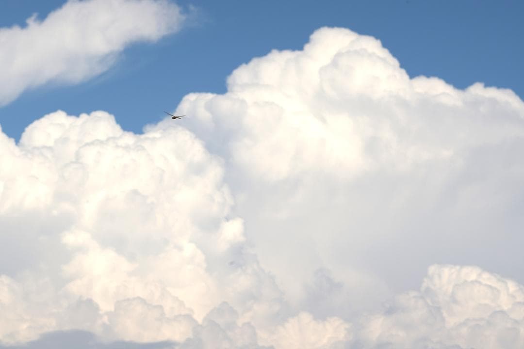 光学⚪︎ PENTAX TAKUMAR 105mm F2.4