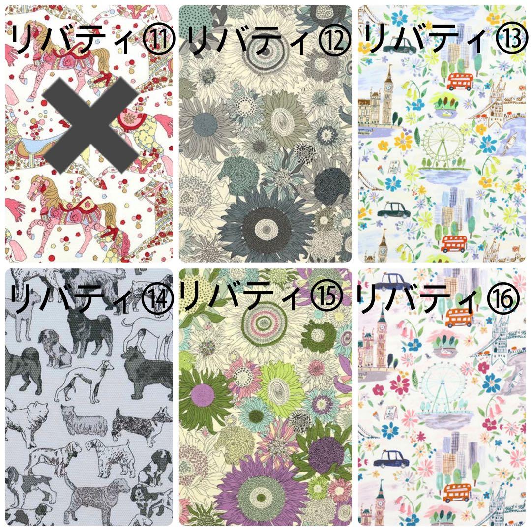 とんページピコタンpmサイズバッグインバッグ