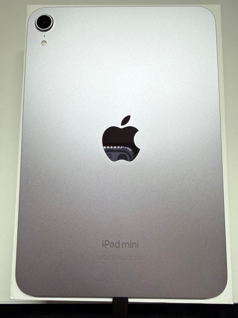 iPad mini 第7世代 256gb +α