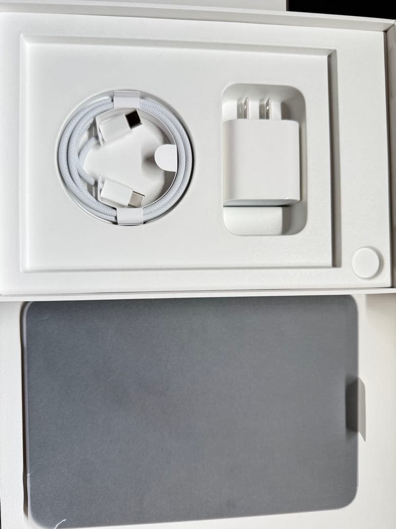 iPad mini 第7世代 256gb +α