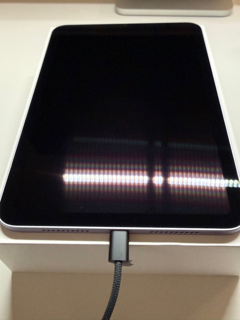 iPad mini 第7世代 256gb +α