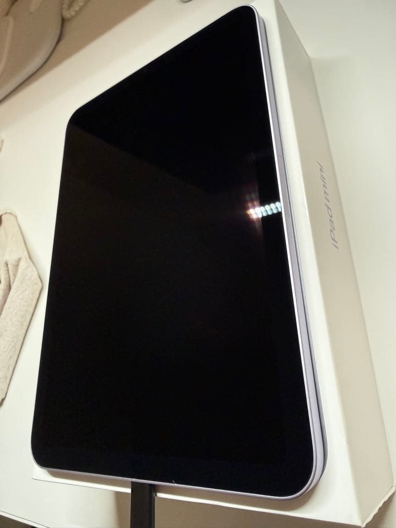 iPad mini 第7世代 256gb +α