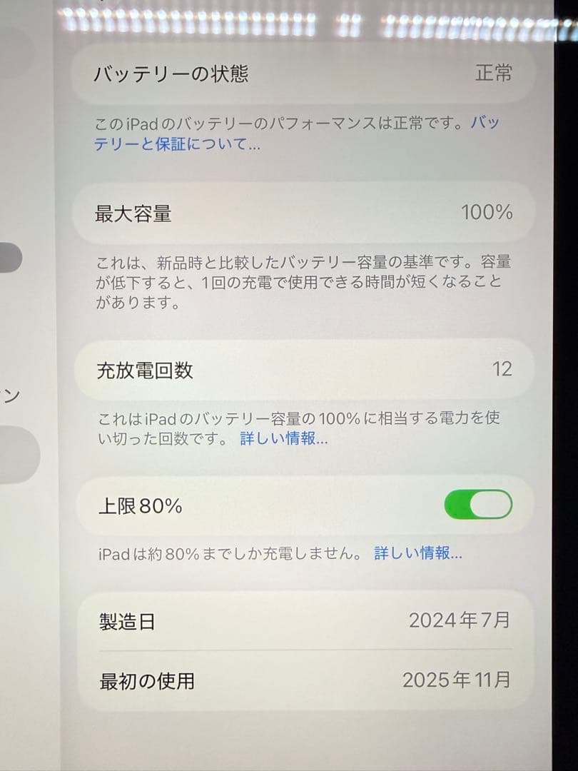 iPad mini 第7世代 256gb +α