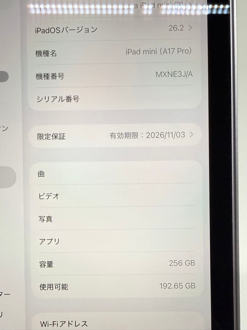 iPad mini 第7世代 256gb +α