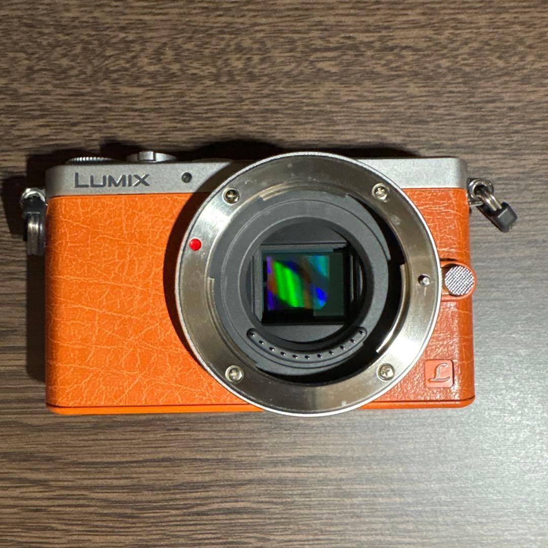 Panasonic Lumix DMC-GM1 ボディ ミラーレス一眼