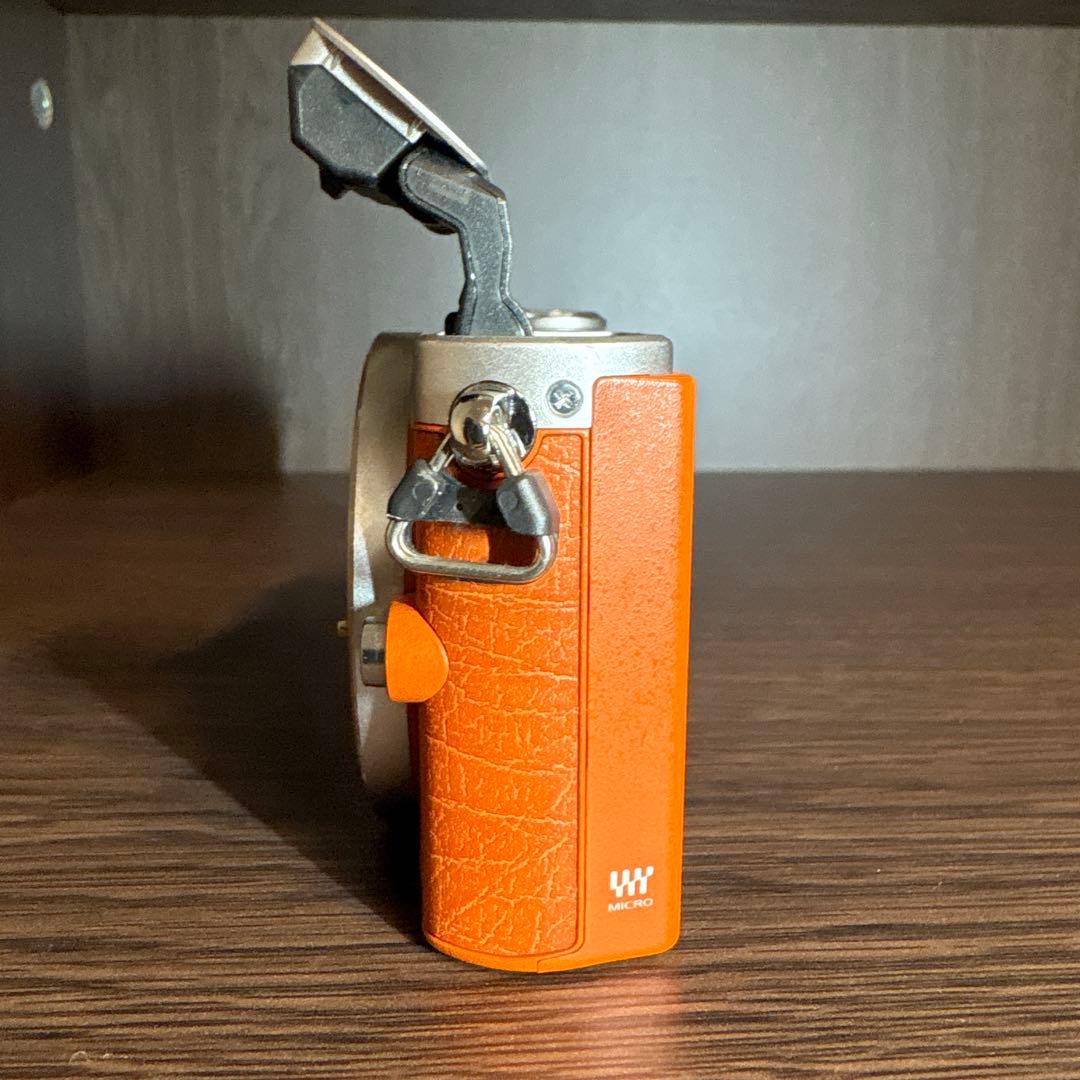 Panasonic Lumix DMC-GM1 ボディ ミラーレス一眼