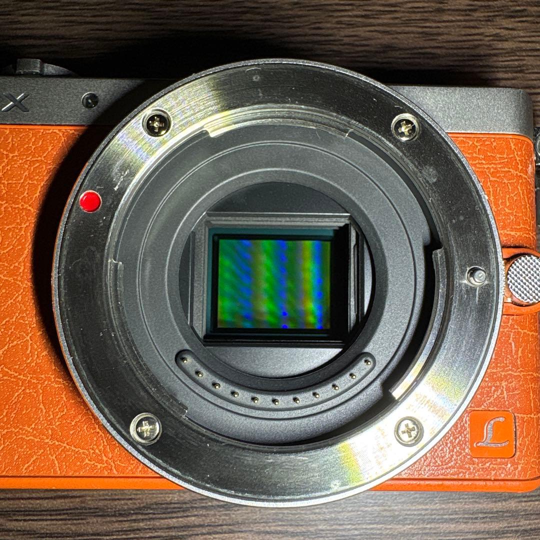 Panasonic Lumix DMC-GM1 ボディ ミラーレス一眼