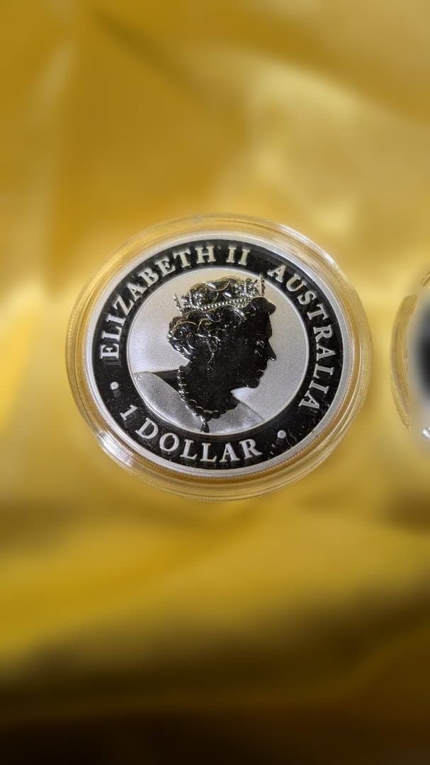 し*ぴ様 オーストラリア・クッカバラ銀貨 2枚セット 2021年　1オンス