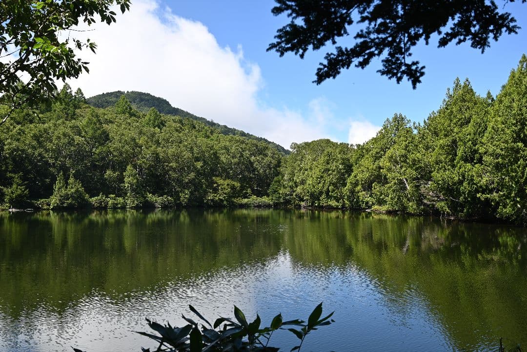 【Nikon Zマウント】NIKKOR Z 24-70mm f/4 S 美品