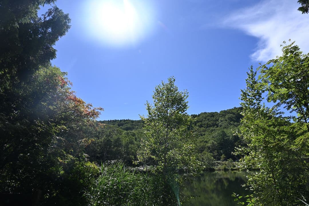 【Nikon Zマウント】NIKKOR Z 24-70mm f/4 S 美品