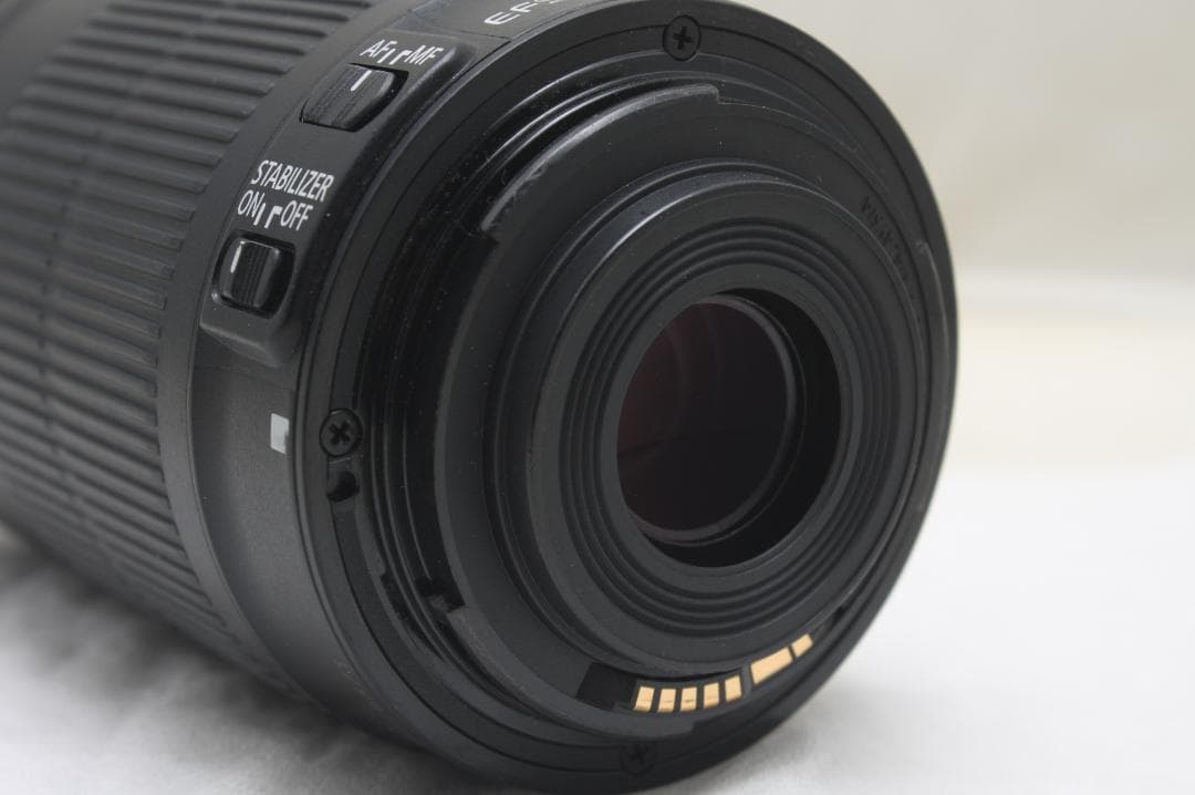 キヤノン EF-S 55-250mm F4-5.6 IS STM 6873
