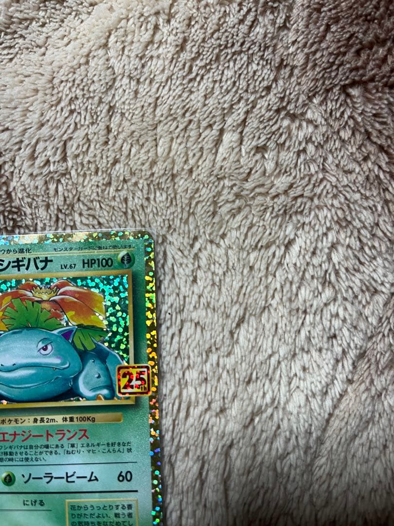 カメックス プロモカードパック 25th ANNIVERSARY editio…