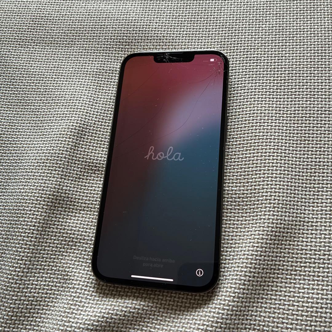 Apple iPhone 13 Pro グラファイト256GB 箱　ケーブル類