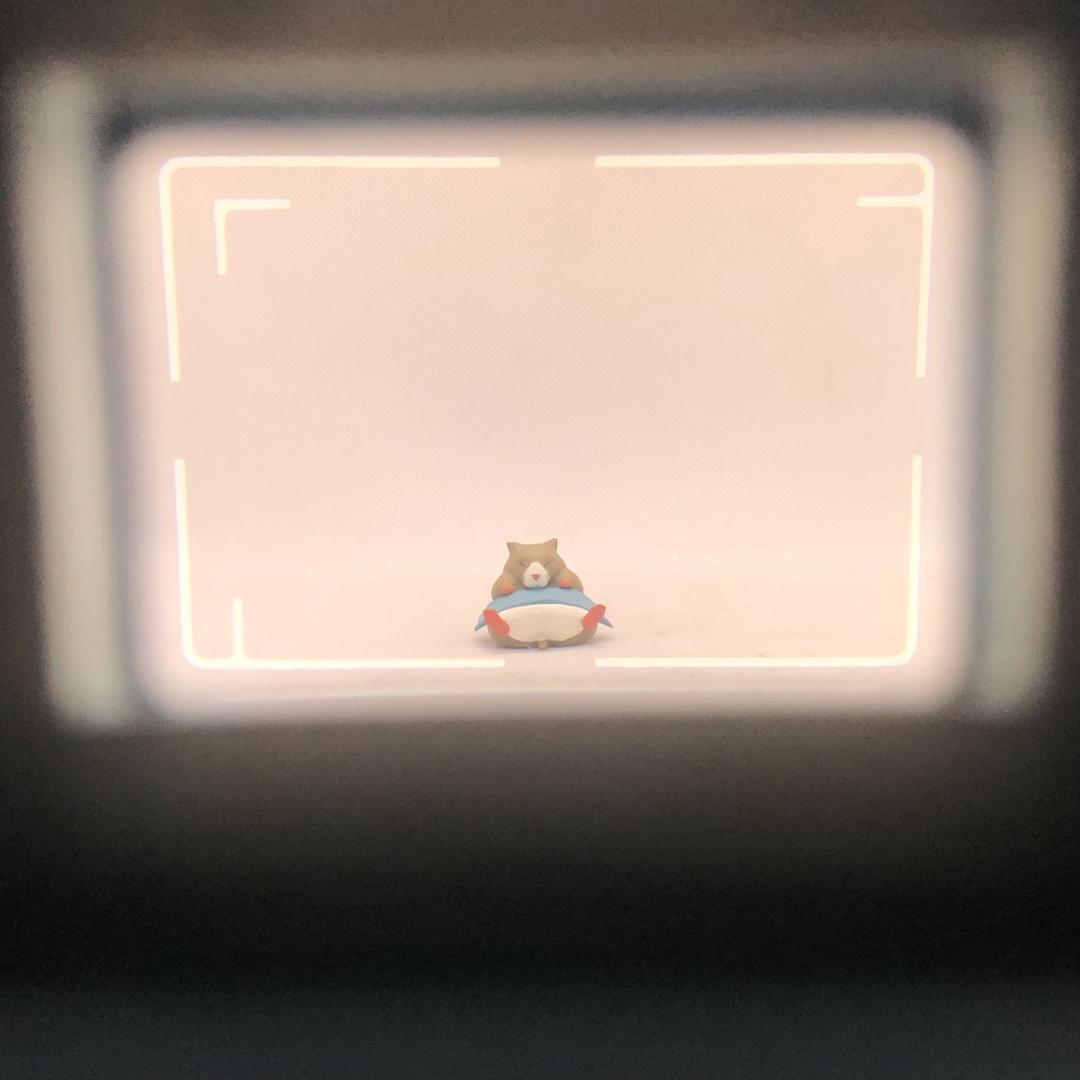 【C7025】Rollei ローライ 35 S ブラック フィルムカメラ