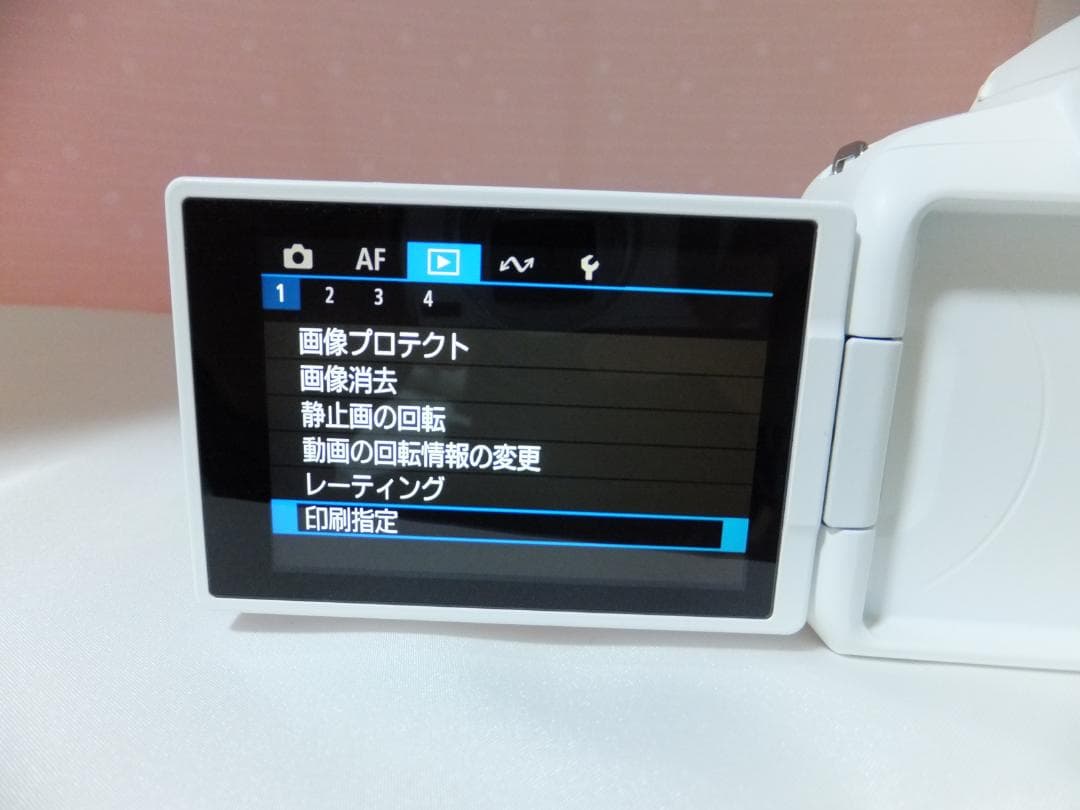 〓ショット数2,337 枚〓キヤノン Canon EOS R50 ミラーレス一眼