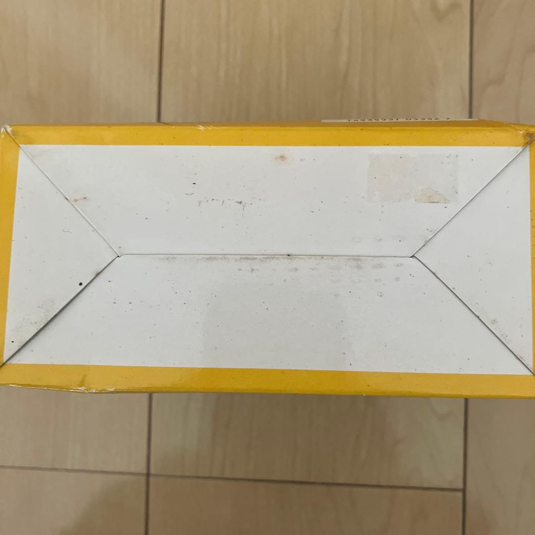 グレムリン2 ギズモ　エンジェル&ハロウィンフィギュア