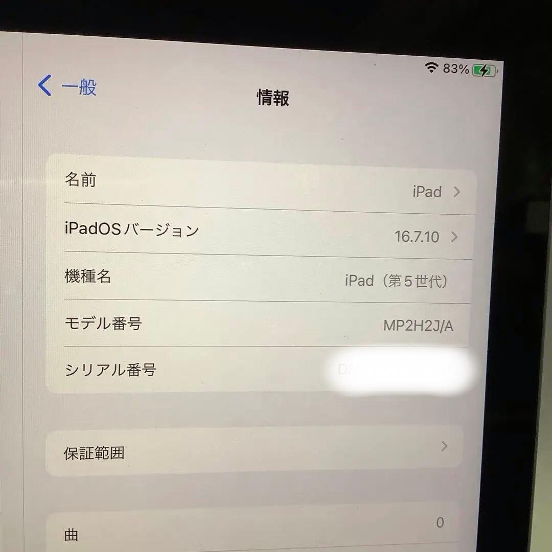 iPad第5世代128G wifi Gray バッテリー新品100%Gray