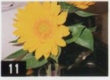 【ちょこ】ナチュラ クラシカ コンパクトカメラ フジフイルム NATURA