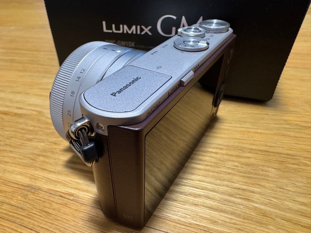 ★美品★LUMIX GM DMC-GM1SK ダブルズームレンズ セット