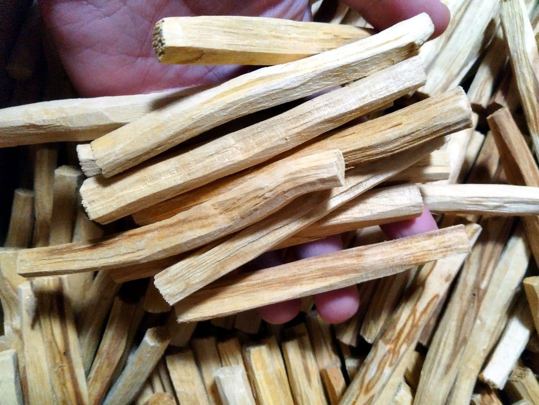 業務用価額☆天然お香木エクアドル産パロサントスティック1kg