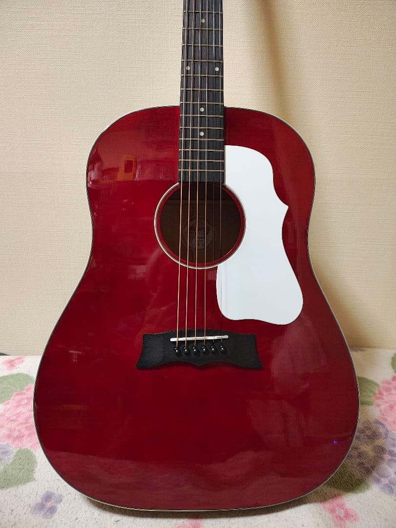 C.K！単板トップMORRIS G-021 WR/超美品/専用ケース付