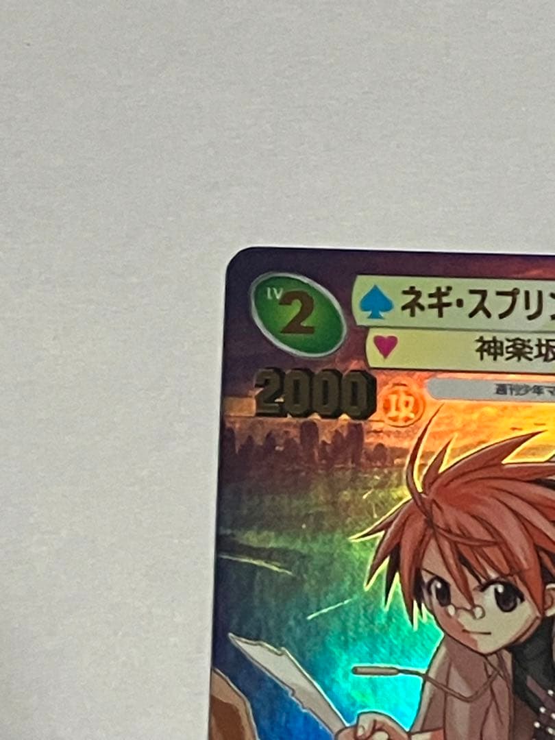 サンデーVSマガジン 【赤松健 金サインカード】 ネギ・スプリングフィールド