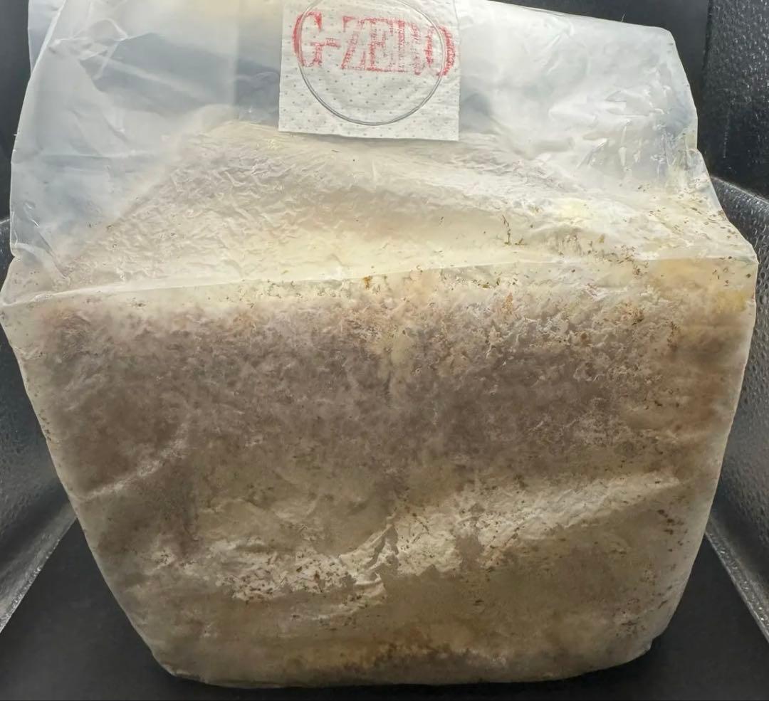 DDA 菌糸ブロック　G-ZERO 8ブロック