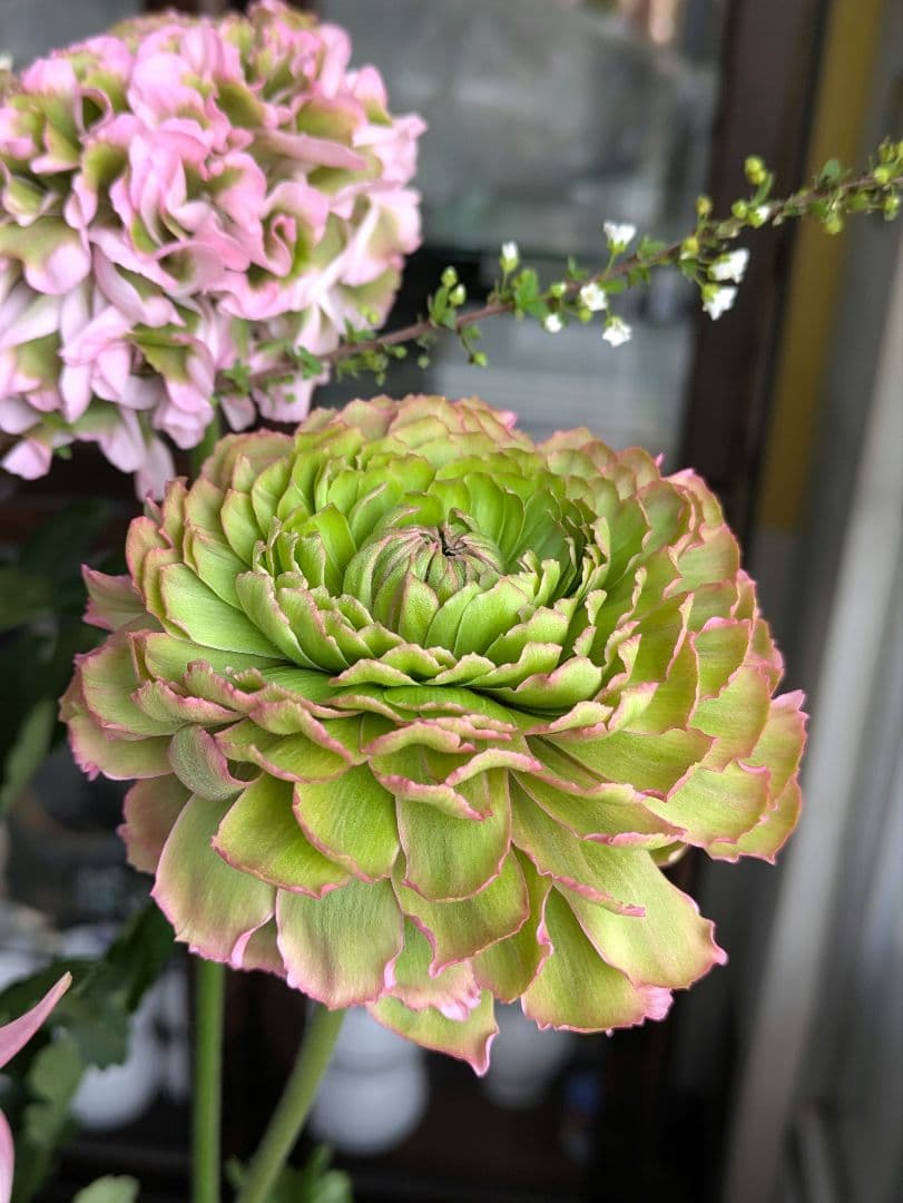 ♡みあり様♡13周年感謝価格✨✨