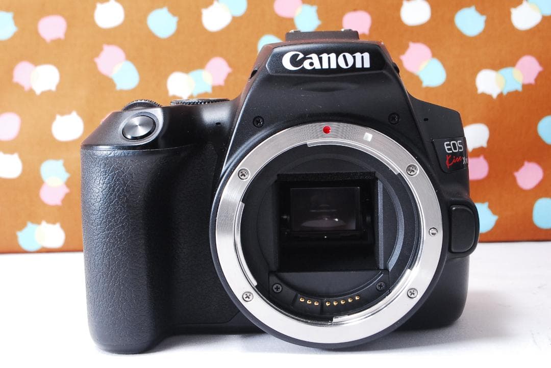 ✨初心者オススメ✨Wi-Fi✨Canon Kiss X10 ダブルレンズセット