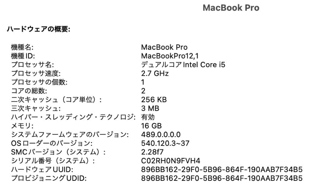 Apple MacBook Pro 充電器付 Early2015 A1502