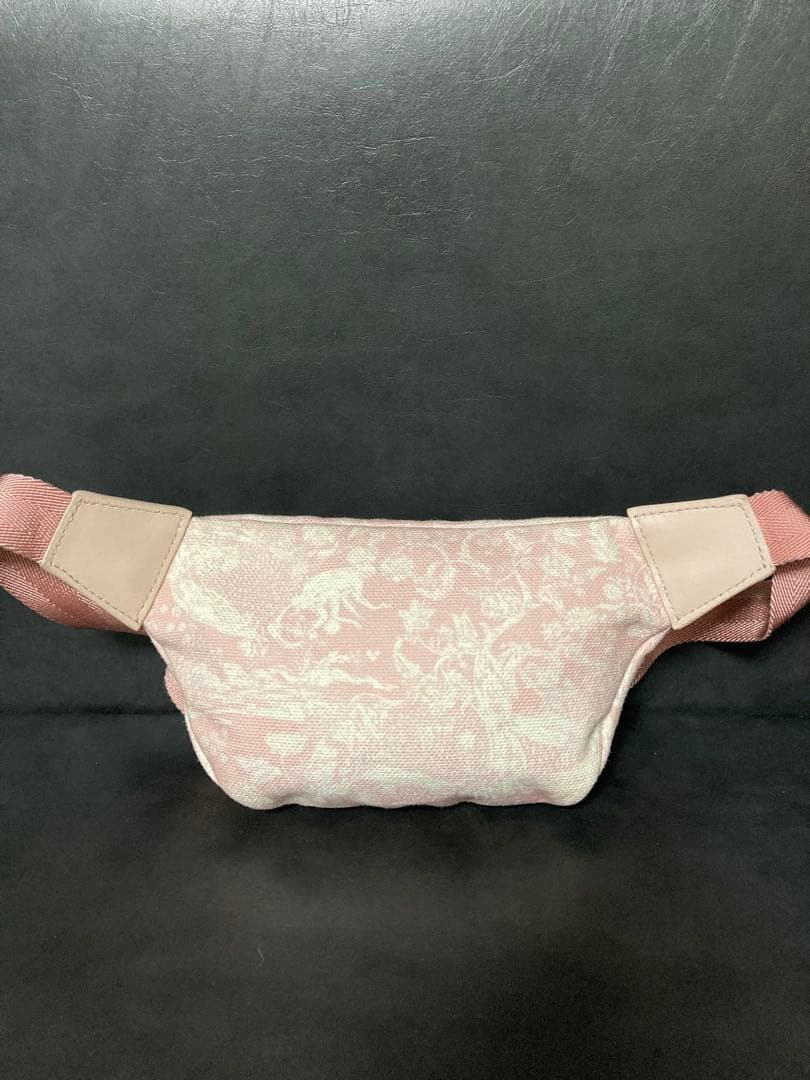 美品⭐︎ クリスチャン ディオール Dior ウエストバッグ ボディバッグ