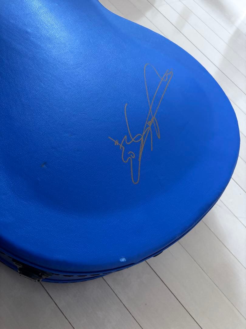 ギター naga guitars s-gac60