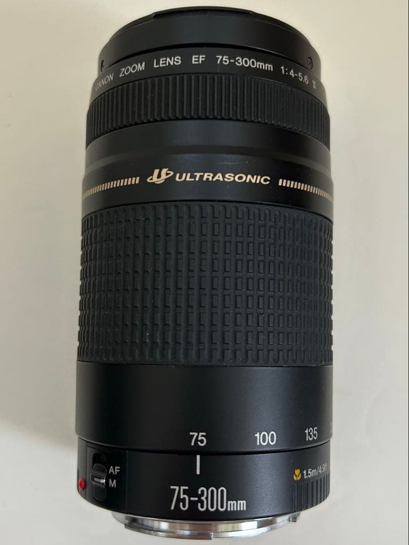 レンズ(ズーム) Canon ZOOM LENS EF 75-300mm 1:4-5.6 II